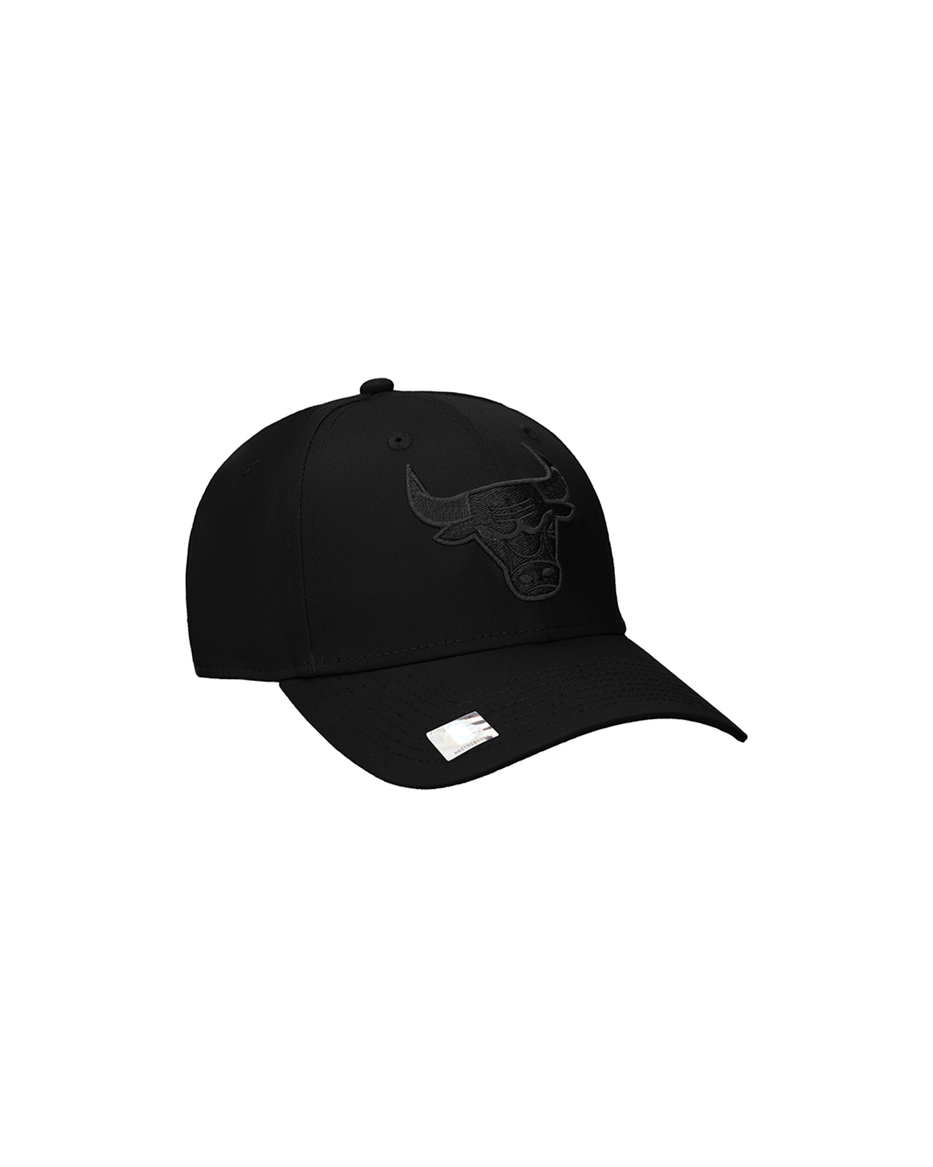 Gorra Visera Curva Chicago Bulls