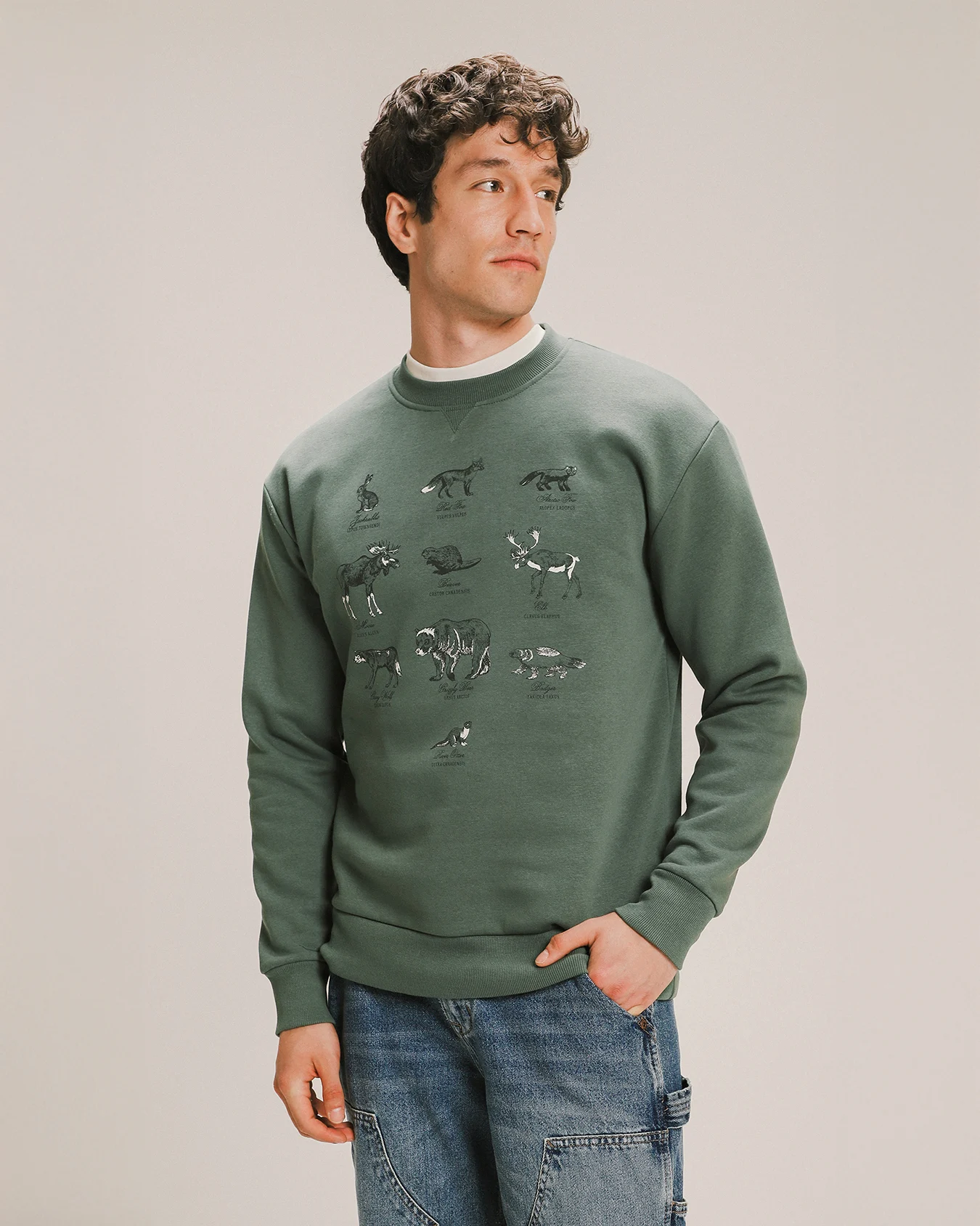 Sudadera Fit Relaxed Verde 1 Sudadera Fit Relaxed Verde